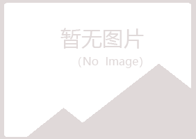 桂林雁山匆匆司机有限公司